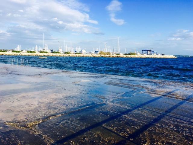 Apartment Umag Nelly Exterior foto